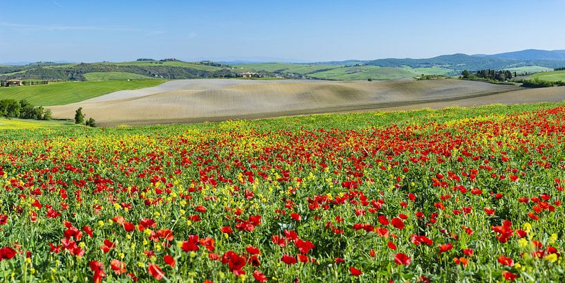 Landschap rond San Quirico d'Orcia, Val d'Orcia, Toscane van Walter G. Allgöwer