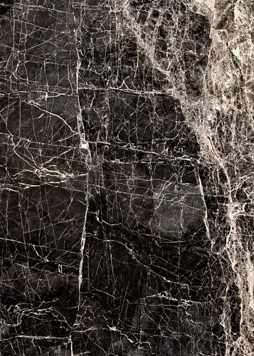 ABSTRACT BLACK & WHITE v3