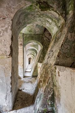 Il s'agit de photos que l'on ne peut pas classer - elles sont simples et faciles à utiliser. sur Gentleman of Decay