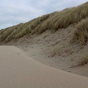 Denise Brugman Profilfoto