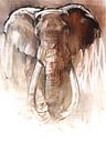 Elefantenbulle von Mark Adlington Miniaturansicht