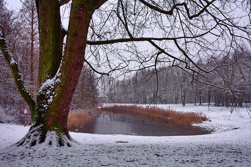 Besneeuwd landschap 3