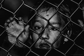 Gevangen in onze eigen gedachtenis van tathiana Brussel