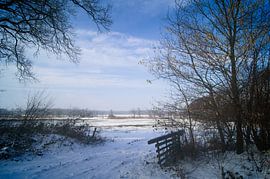 paysage hivernal sur Drenthograaf