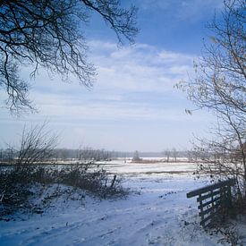 winter landscape by Drenthograaf