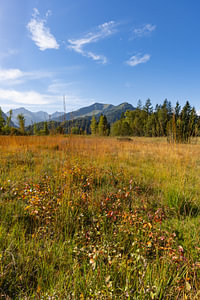 Moor im Herbst, Moorweiher bei Oberstdorf, dahinter das Fellhorn, 2037m, Allgäu