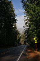 Washington State Roads