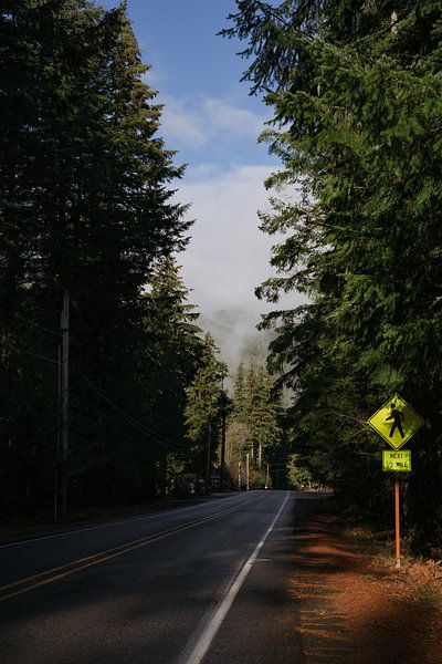 Washington State Roads by Yara Dragt