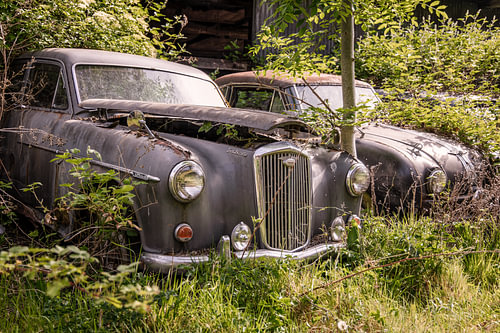 Des voitures anciennes abandonnées quelque part au Royaume-Uni sur Gentleman of Decay