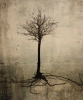 Baum mit Wurzel
