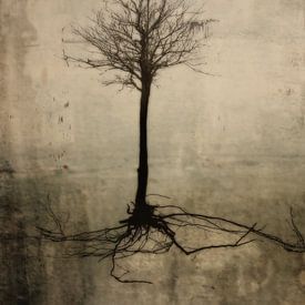 Baum mit Wurzel von Esther Wijntje