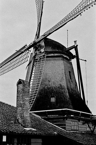 Paper mill the Schoolmaster by Zaankanteropavontuur