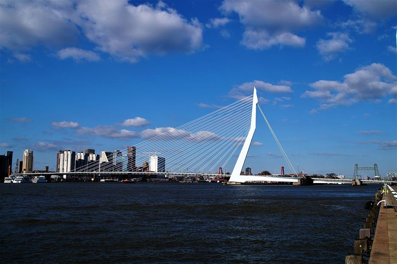 Erasmusbrücke / Erasmusbrücke Rotterdam von Maurits Bredius