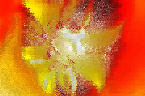 Le réveil de la fleur