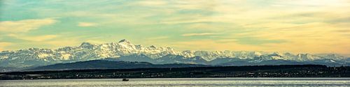 Panorama van het Bodenmeer en de Zwitserse Alpen