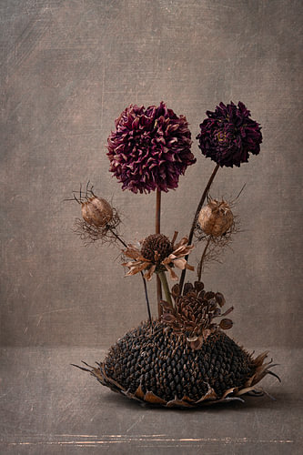 droogbloemen