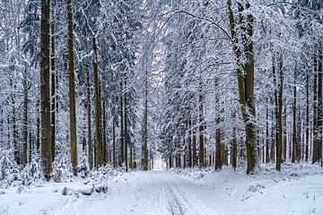 Winterwaldweg nr. 2 van Uwe Ulrich Grün