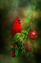 Rode Kardinaal - Vogel Op Tak Schilderij van Diana van Tankeren thumbnail