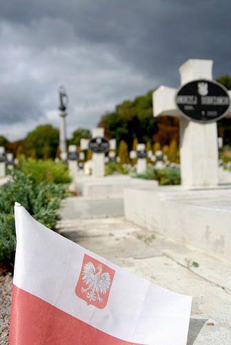 Lichakivsky Cemetery.