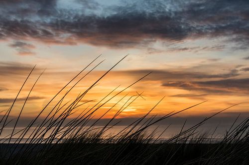 Coucher de soleil à la plage | Photographie de la nature art mural