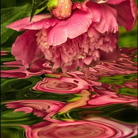 Pinksterwater III van Christine Nöhmeier