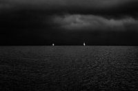 Voile