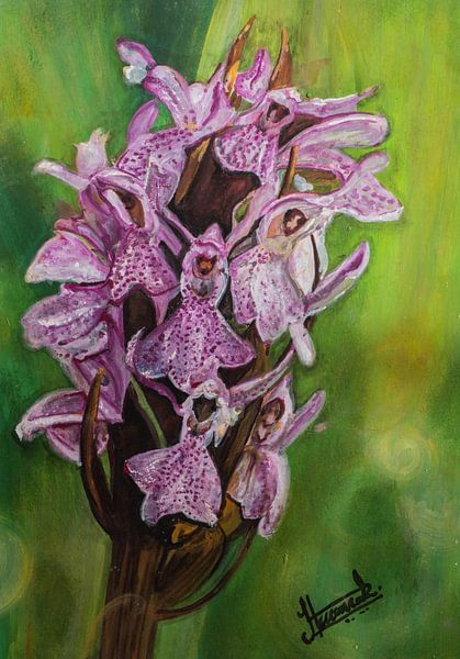 Wilde veldbloemen van Henk Goossens
