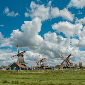 Windmühlen Zaanse Schans, De Kat, Bonte Hen, Jonge Schaap, De Zoeker, Zaandam, Nordholland, , Nieder von Rene van der Meer