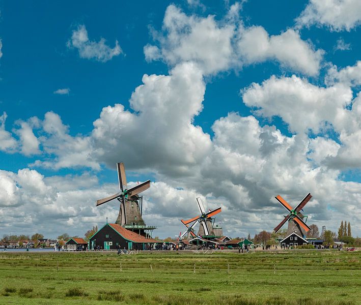 Windmills Zaanse Schans, De Kat, Bonte Hen, Jonge Schaap, De Zoeker, Zaandam, Noord-Holland, , Nethe by Rene van der Meer