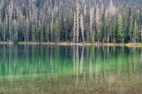 Lake with beautiful green reflection in the water