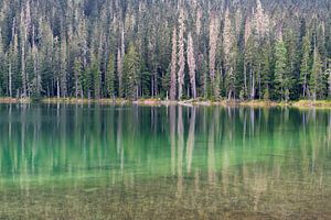 See mit schöner grüner Reflexion im Wasser von Diana de Boer