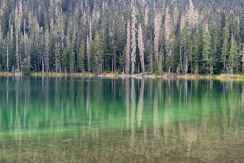 See mit schöner grüner Reflexion im Wasser