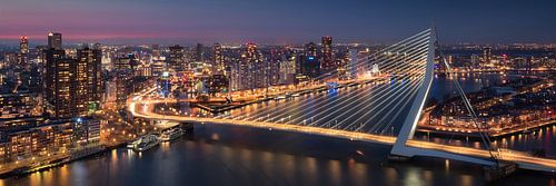 Rotterdam Skyline - Erasmusbrug van Vincent Fennis