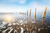 Strand in Denemarken