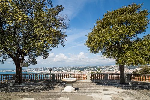 NICE View from Castle Hill