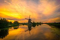 The Kingdom of Windmills