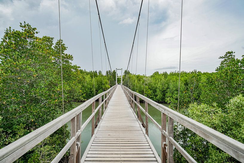 The TreeTop Walk à Singapour par Barbara Riedel