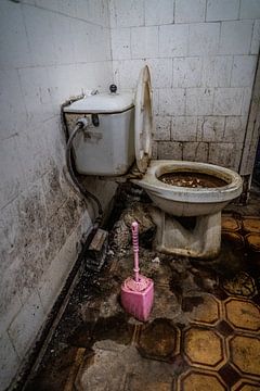 Vieze toilette met rose wc borstel van Diana Kors