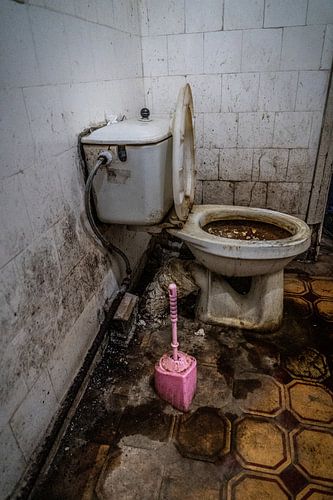 Verschmutzte Toilette mit rosa Klobürste