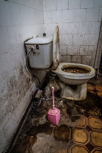 Vieze toilette met rose wc borstel