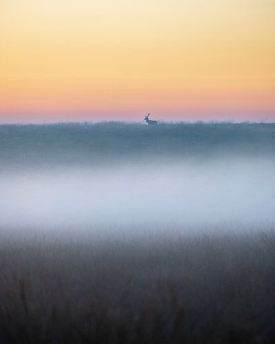 Edelhert in een sfeervol landschap - 3 van Sander Grefte