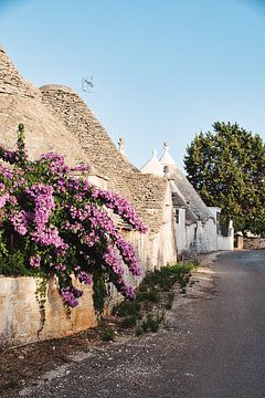 Trullo/Trulli in Alberobello, Italië van Patrick Wittling