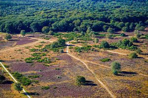 Die Hoorneboeg-Heide aus der Luft [06]