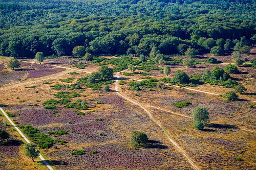 De Hoorneboegse Heide vanuit de lucht [06] van Frank Maters