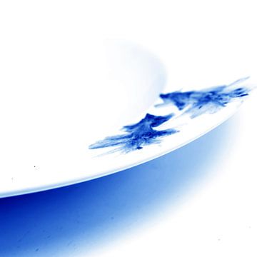Delftsblauwe Bloemen - Vis 16 van Mariska van Vondelen