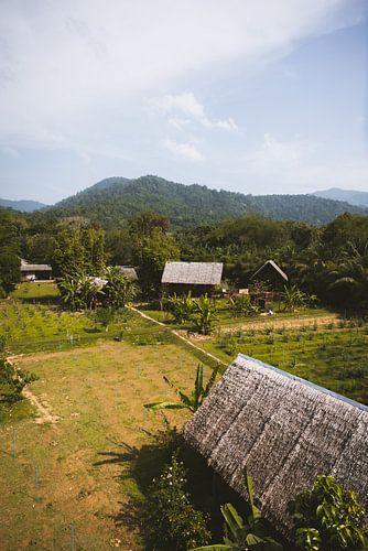 Ecofarm en School in Khao Sok: Educatie en Duurzaamheid Hand in Hand