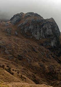 Ecuador: El Cajas National Park (Azuay)