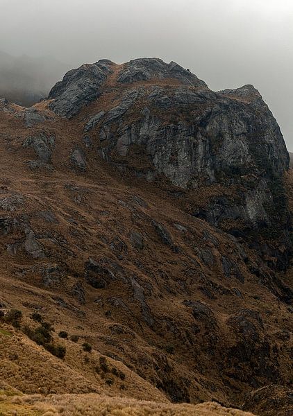 Ecuador: El Cajas National Park (Azuay) van Maarten Verhees