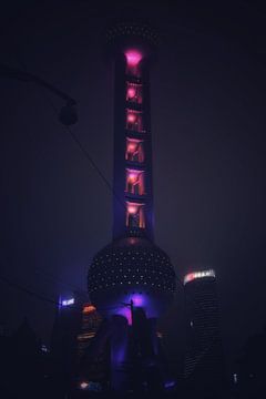 Dystopische Toren van Milan Markovic