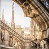 From the Heights of the Cathedral: A View of Milan's Gothic Splendour by Bart Ros